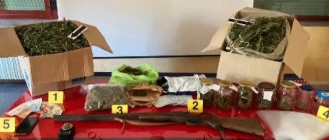 Davoli, in casa con 5 chili di marijuana e 24 piante di canapa: arrestato