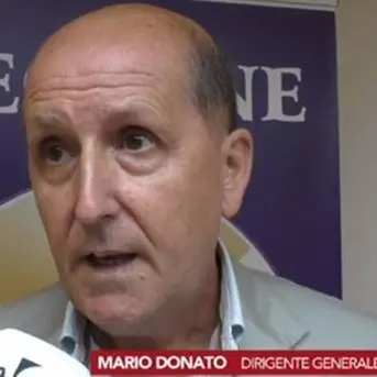 Caro ci è costato il Decreto Calabria: «Nessuna gara d'appalto e spese lievitate»