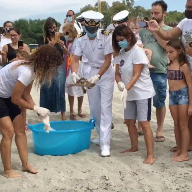 Roccella: aveva ingerito plastica, curata e rimessa in libertà la tartaruga Camilla
