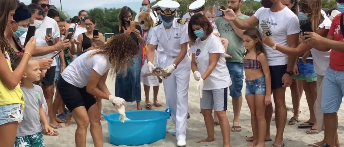 Roccella: aveva ingerito plastica, curata e rimessa in libertà la tartaruga Camilla
