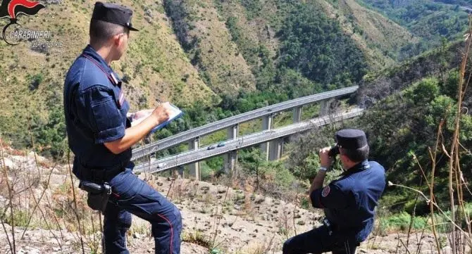 Fanno lavori sull’A2 e provocano un incendio boschivo: due denunce a Cosenza