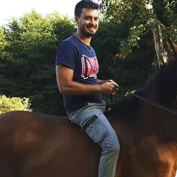 «Addio Londra, torno nella mia Sila»: storia di un sogno realizzato