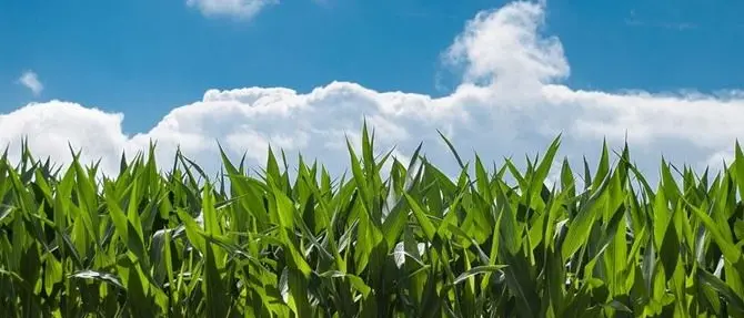 Pesca e agricoltura, al via assemblea regionale di Legacoop Calabria