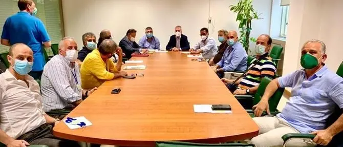 Apicoltura, vertice in Regione: possibile una legge quadro