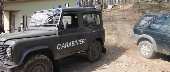 Furto di legname, arrestati 5 uomini: razziavano piante di leccio in una proprietà privata