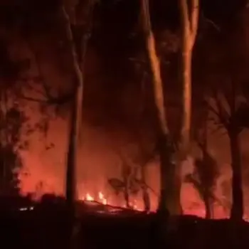 Vasti incendi a Scalea e San Nicola Arcella. Notte di fuoco sul Tirreno cosentino