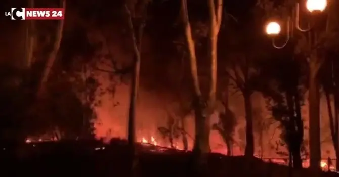 Vasti incendi a Scalea e San Nicola Arcella. Notte di fuoco sul Tirreno cosentino