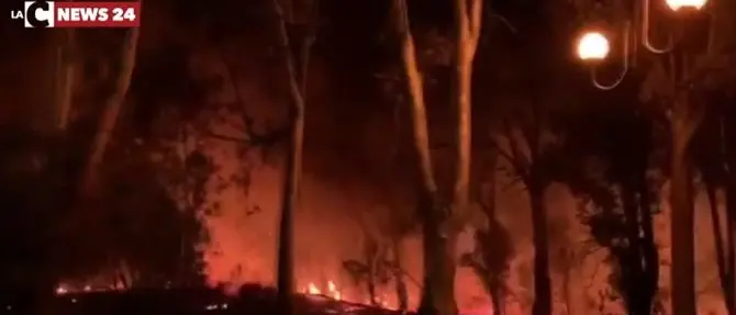 Vasti incendi a Scalea e San Nicola Arcella. Notte di fuoco sul Tirreno cosentino