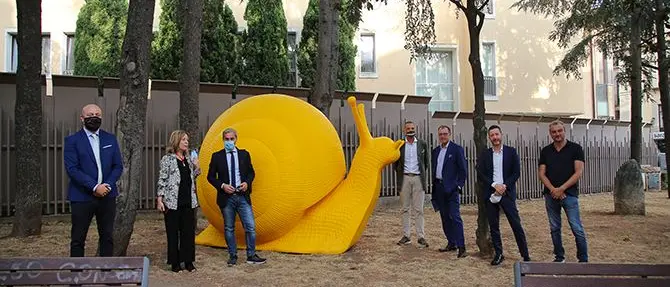 Uno zoo fantastico colora Catanzaro: tornano in strada le opere di Cracking art