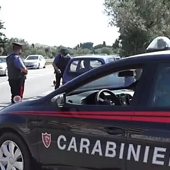 Melito di Porto Salvo, furti di auto e cavallo di ritorno: un arresto