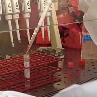 Coronavirus, a Catanzaro due nuovi positivi: solo uno legato al caso della palestra