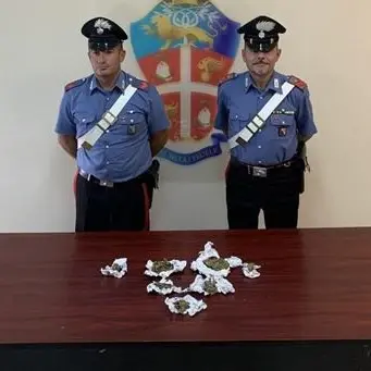 Trovati con più di 100 gr di marijuana in auto, due arresti nella Locride