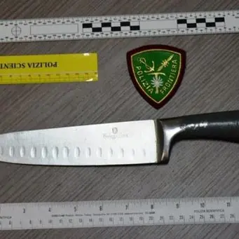 Reggio Calabria, minaccia autista bus e poliziotti col coltello: un arresto in aeroporto