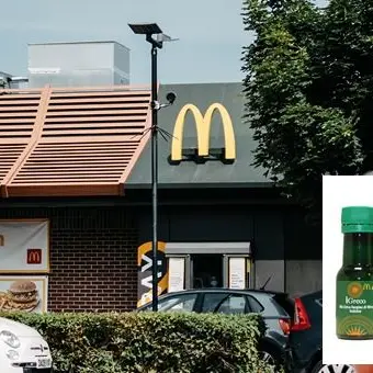 Mc Donald’s punta sull’olio extravergine della Calabria per le sue insalate