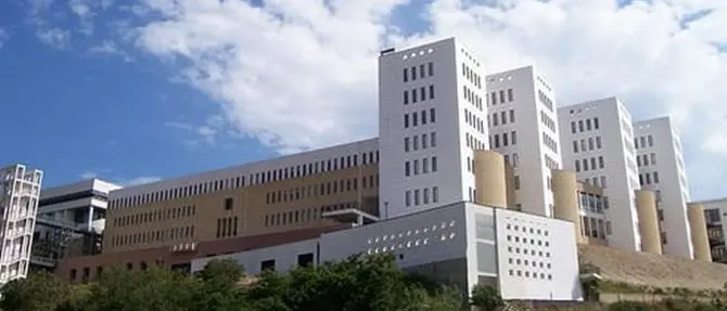 Covid e università, l’altra faccia della medaglia: boom di iscrizioni anche a Reggio Calabria