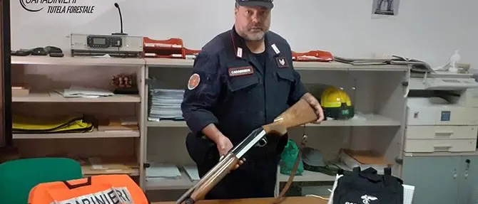 Spara ad un cinghiale fuori stagione: cacciatore denunciato nel Cosentino