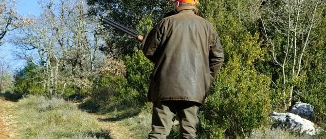 Caccia, il Tar sospende in parte la delibera della Giunta regionale