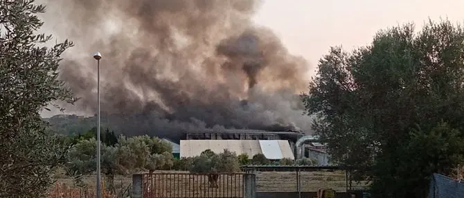 Incendio a Siderno, il sindaco di Locri chiude tutte le scuole: «Troppo fumo»