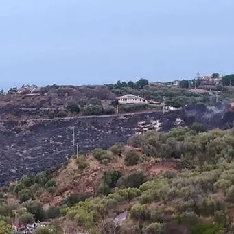 Incendi nel Vibonese, fiamme vicine alle case e linea ferroviaria interrotta
