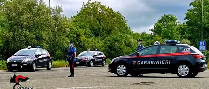 'Ndrangheta, favorirono la latitanza di due boss: in carcere i fratelli Facchineri di Cittanova