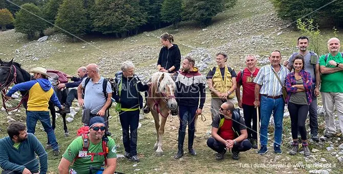 Faggeta di Pollinello con vista Unesco, ispettori entusiasti di boschi e paesaggi