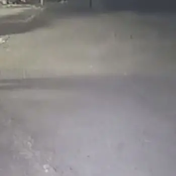 Anziana massacrata a Briatico, ecco il video. Il procuratore: «Mai visto nulla di più violento»