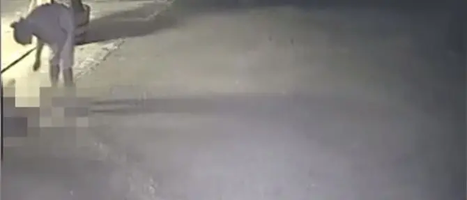 Anziana massacrata a Briatico, ecco il video. Il procuratore: «Mai visto nulla di più violento»