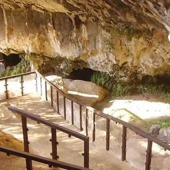 Grotta del Romito, l’archeologo replica al sindaco: «Ricerca non si confuta con le note stampa»