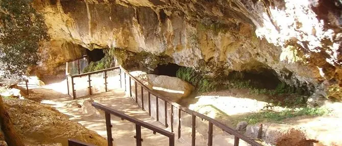 Grotta del Romito, l’archeologo replica al sindaco: «Ricerca non si confuta con le note stampa»