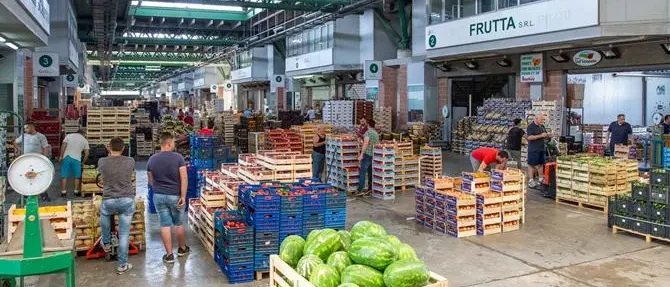 Covid al Comalca, il sindaco di Catanzaro dispone la chiusura del consorzio