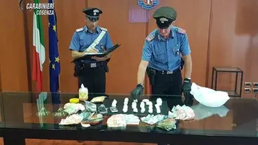 Cosenza, centomila euro di droga in casa: arrestati madre e figlio