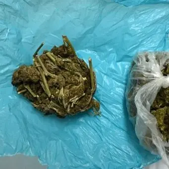 Spaccio di marijuana, la polizia arresta un ventenne a Rosarno