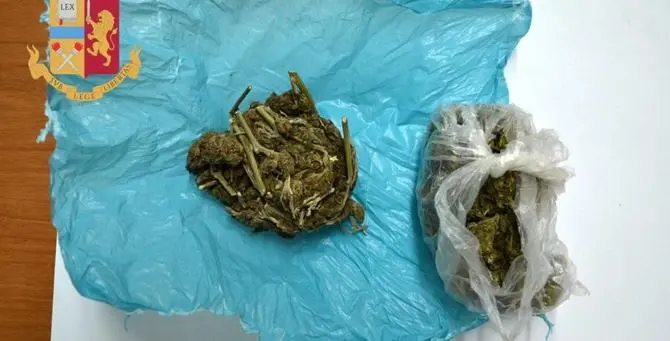 Spaccio di marijuana, la polizia arresta un ventenne a Rosarno