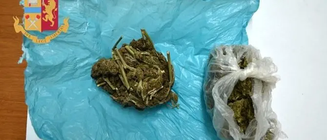 Spaccio di marijuana, la polizia arresta un ventenne a Rosarno