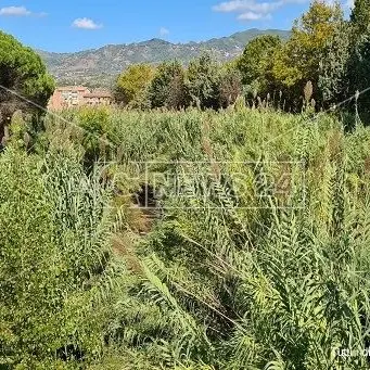 Cosenza, rischio allagamenti: il Comune ordina a Calabria verde di pulire i torrenti