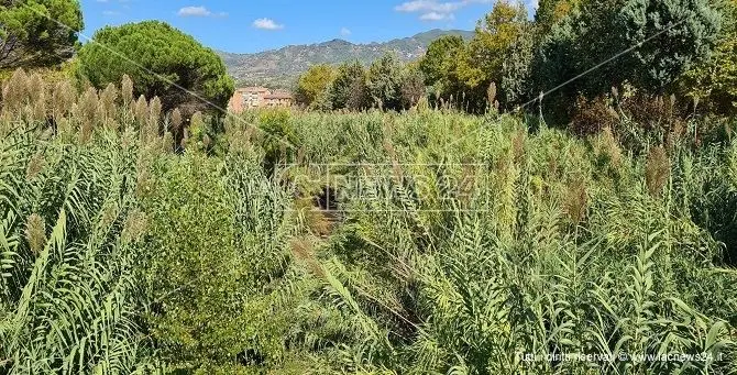 Cosenza, rischio allagamenti: il Comune ordina a Calabria verde di pulire i torrenti