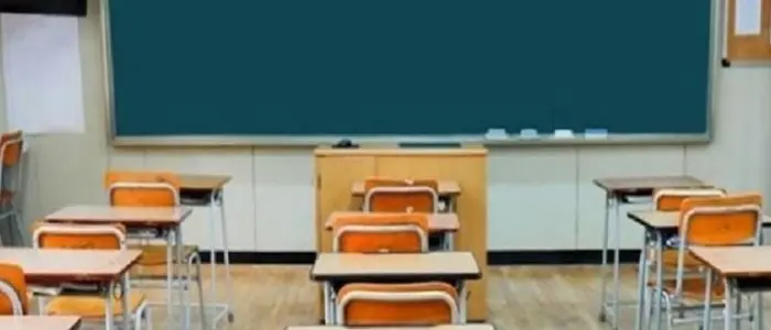 Coronavirus Calabria, fratelli positivi in una scuola di Lamezia: due classi in quarantena