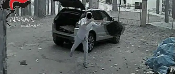 Rifiuti abbandonati nel Parco della Sila, multe per oltre 5mila euro