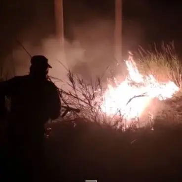 Nocera Terinese, in fiamme l’area stoccaggio dei rifiuti: le telecamere inquadrano il piromane