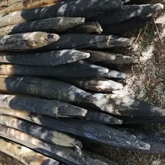 Rubava pali in un'azienda agricola del Catanzarese, denunciato per furto aggravato