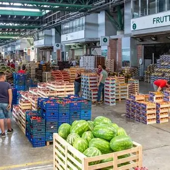 Coronavirus, riapre mercato a Catanzaro. Preoccupano i casi nel Cosentino e Reggino