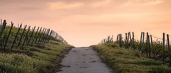 Zone rurali, finanziamenti in arrivo per Civita e San Basile