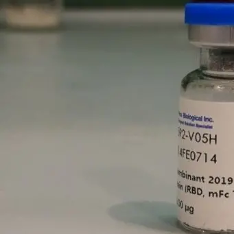 Covid, speranze dall'Unical: gli anticorpi sintetici bloccano il virus