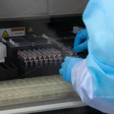 Coronavirus, un caso a Canolo nel Reggino: famiglia in isolamento