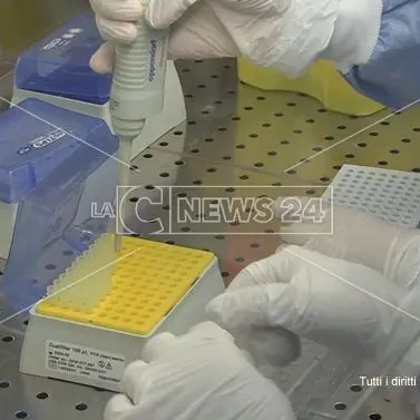 Coronavirus Celico: 10 contagi, uffici pubblici off limits e a Spezzano Sila scuole chiuse