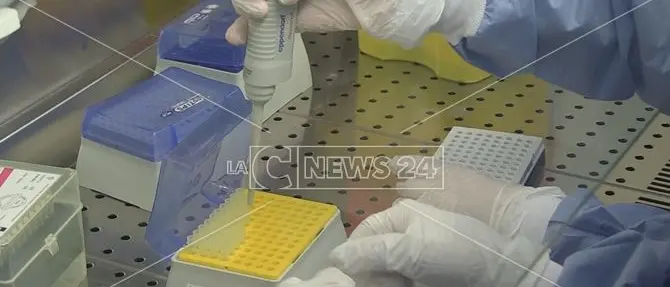 Coronavirus Celico: 10 contagi, uffici pubblici off limits e a Spezzano Sila scuole chiuse