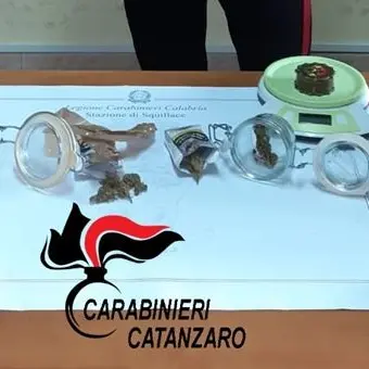 Squillace Lido, due arresti per spaccio di marijuana