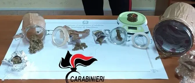 Squillace Lido, due arresti per spaccio di marijuana