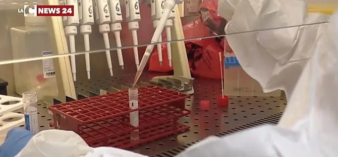 Coronavirus, due nuovi casi in provincia di Vibo Valentia