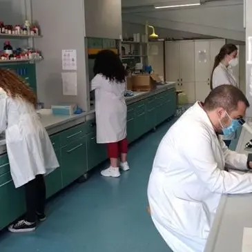 Covid, dall’Unical la terapia che cura il virus: «Servono fondi per la sperimentazione»